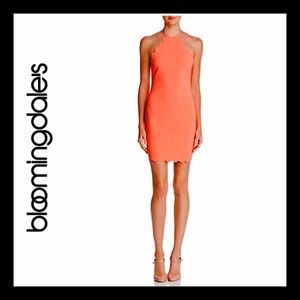 NWT Bloomingdales Exclusive Likely Coral Dress 2